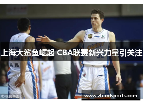 上海大鲨鱼崛起 CBA联赛新兴力量引关注