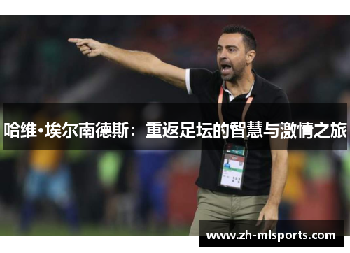 哈维·埃尔南德斯：重返足坛的智慧与激情之旅